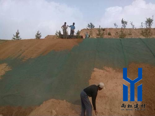 三維植被網http://www.sunvour.com/